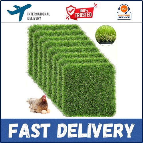 Pack chicken nesting - chicken, box