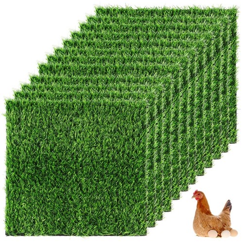 Homaisson 12pack chicken - homaisson,
