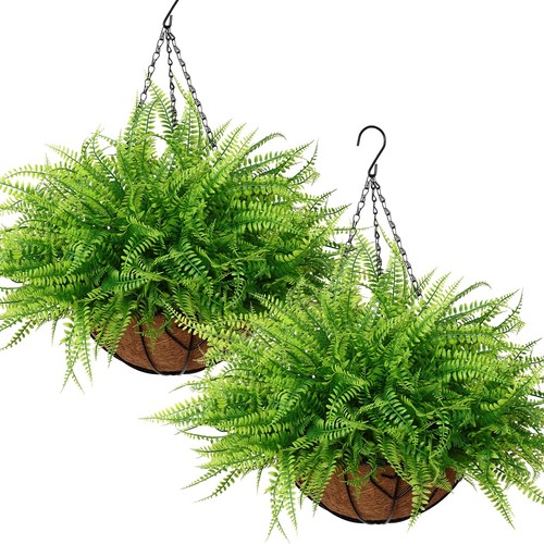 Artificial hanging plants - plants, with