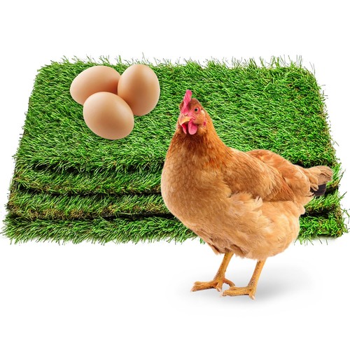 Kathson pcs washable chicken - 4,